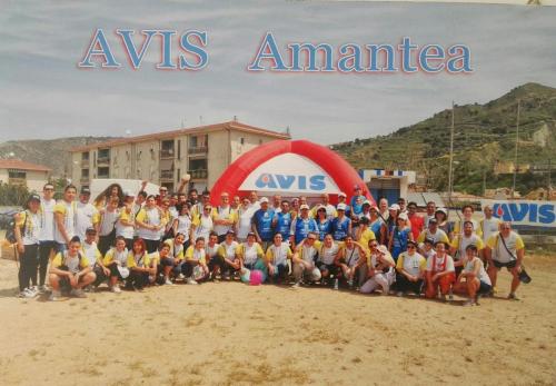 AvisAmantea