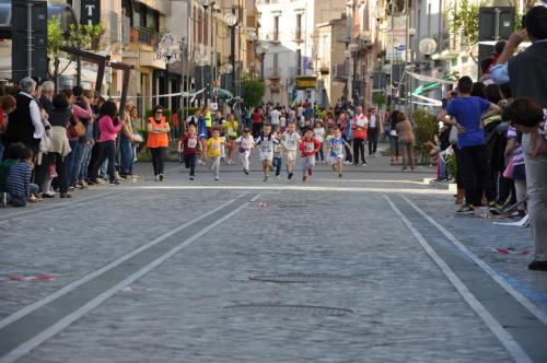 7°Stracittadina_2014