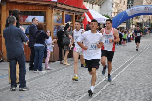 7°Stracittadina_2014