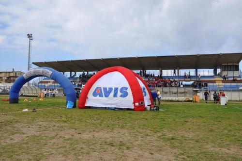 Avis_Kid