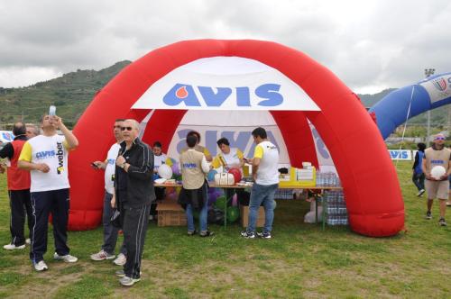 Avis_Kid