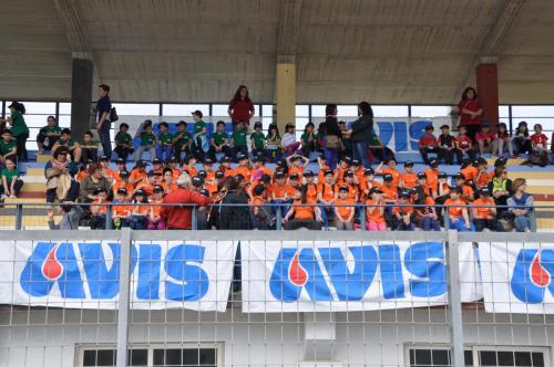 Avis_Kid