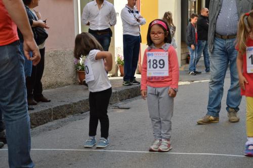 DSC 0033 (1)
